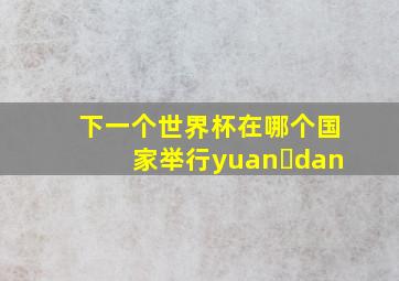 下一个世界杯在哪个国家举行yuan dan